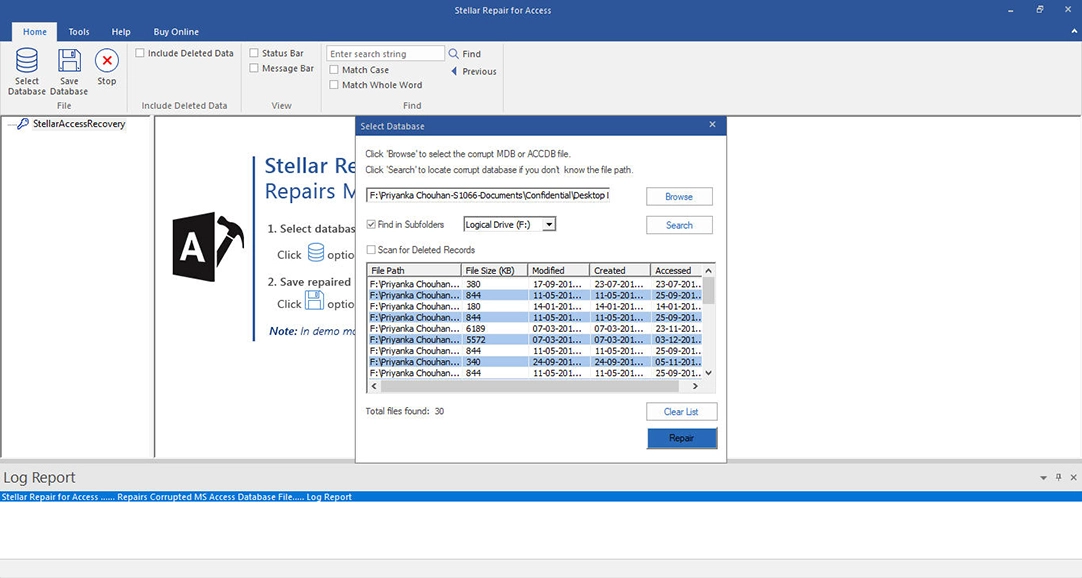 Shows the preview of recover MS Access data